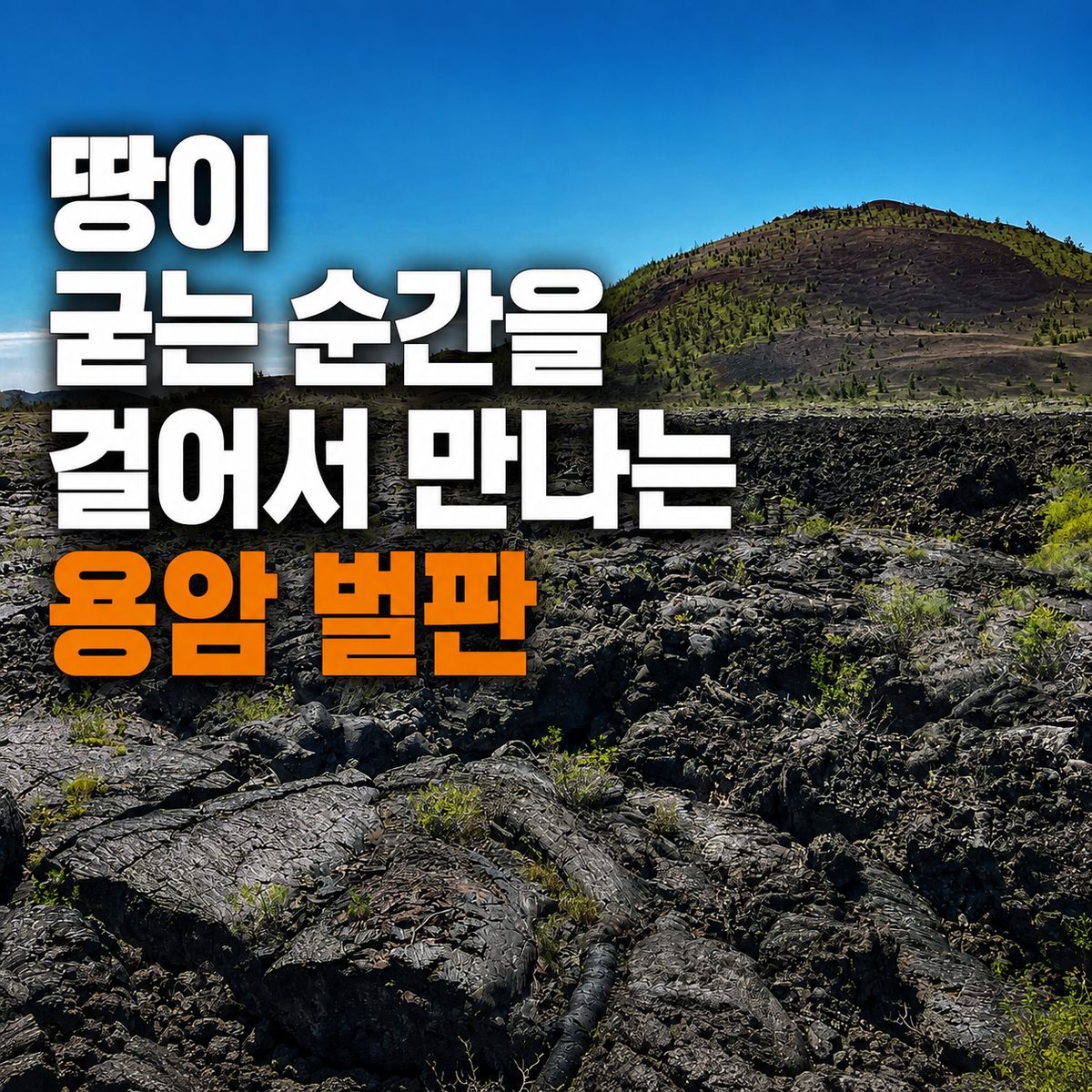 Walking Through the Moment the Ground Solidifies: Lava Fields