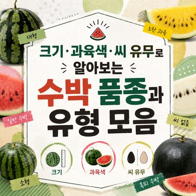 크기·과육색·씨 유무로 알아보는 수박 품종과 유형 모음