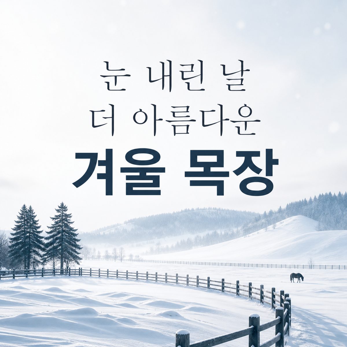 눈 내린 날 더 아름다운 겨울 목장