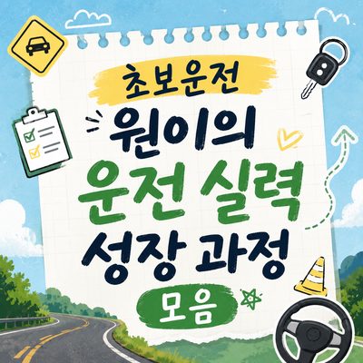 초보운전 원이의 운전 실력 성장 과정 모음