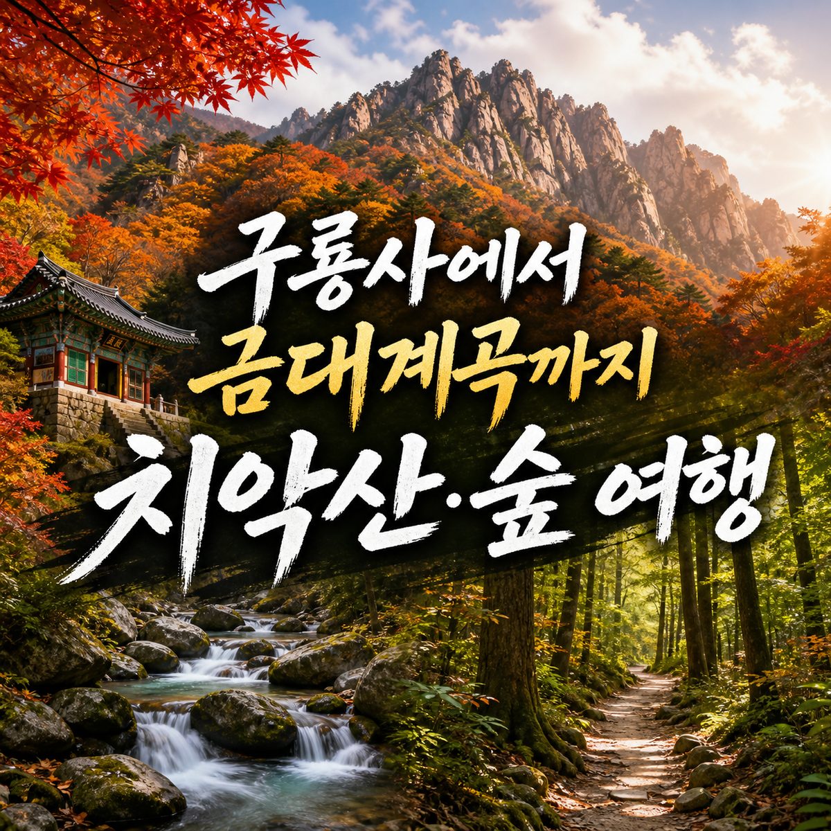 구룡사에서 금대계곡까지 원주 치악산·숲 여행