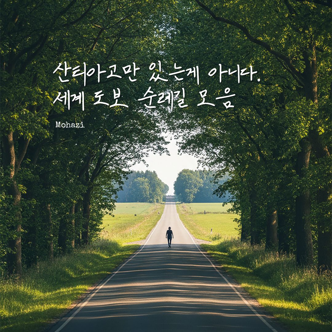산티아고만 있는 게 아니다, 세계 도보 순례길 모음