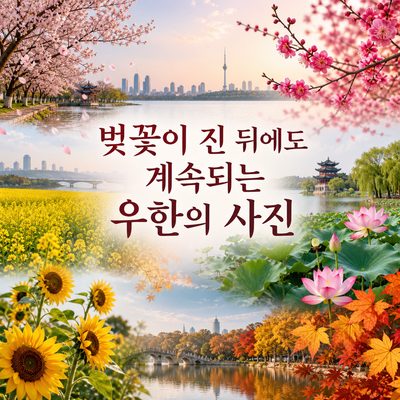 벚꽃이 진 뒤에도 우한의 사진은 계속된다