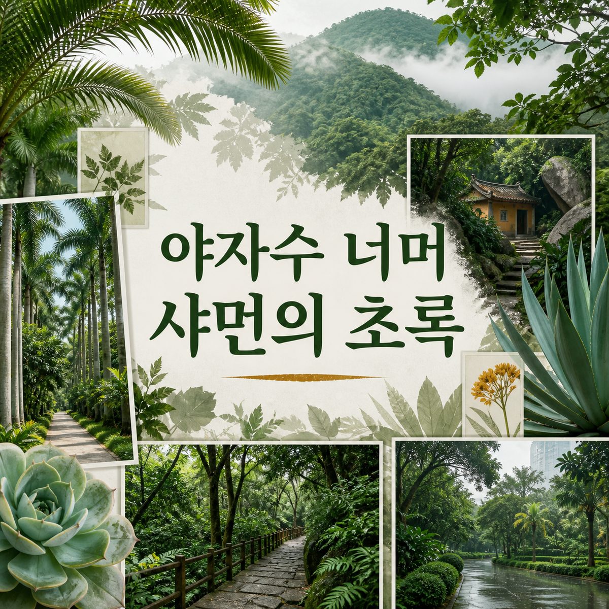 야자수 너머로 만나는 샤먼의 초록