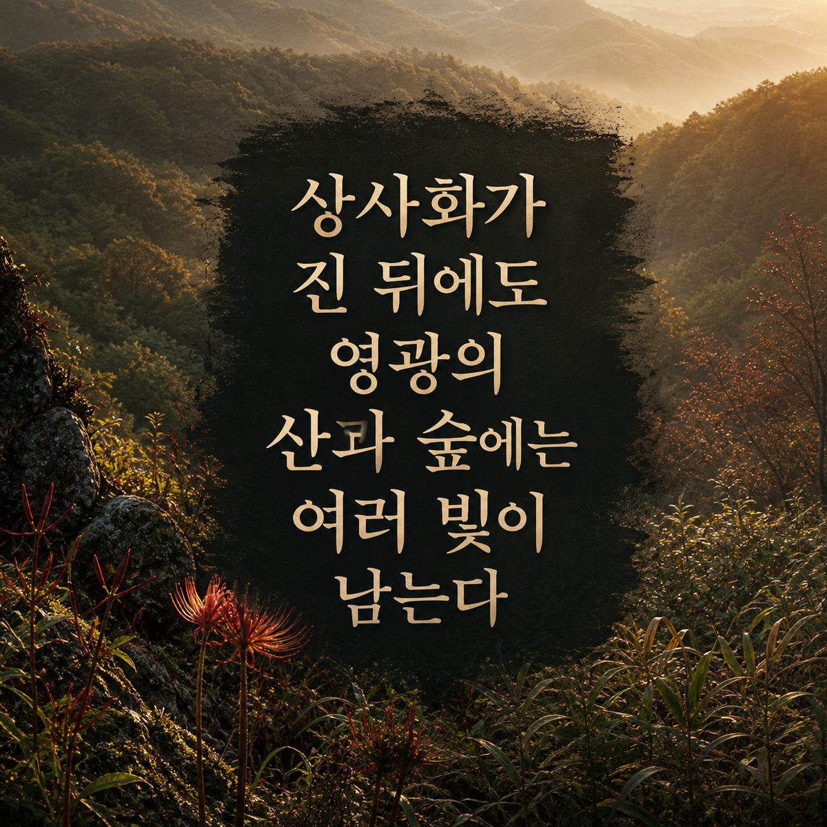 상사화가 진 뒤에도 영광의 산과 숲에는 여러 빛이 남는다