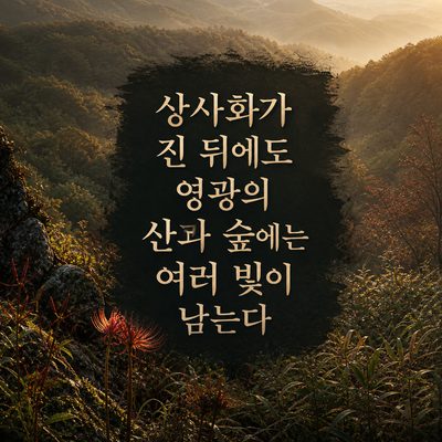 상사화가 진 뒤에도 영광의 산과 숲에는 여러 빛이 남는다