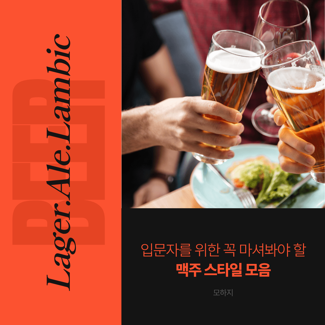 입문자를 위한 꼭 마셔봐야 할 맥주 스타일 모음