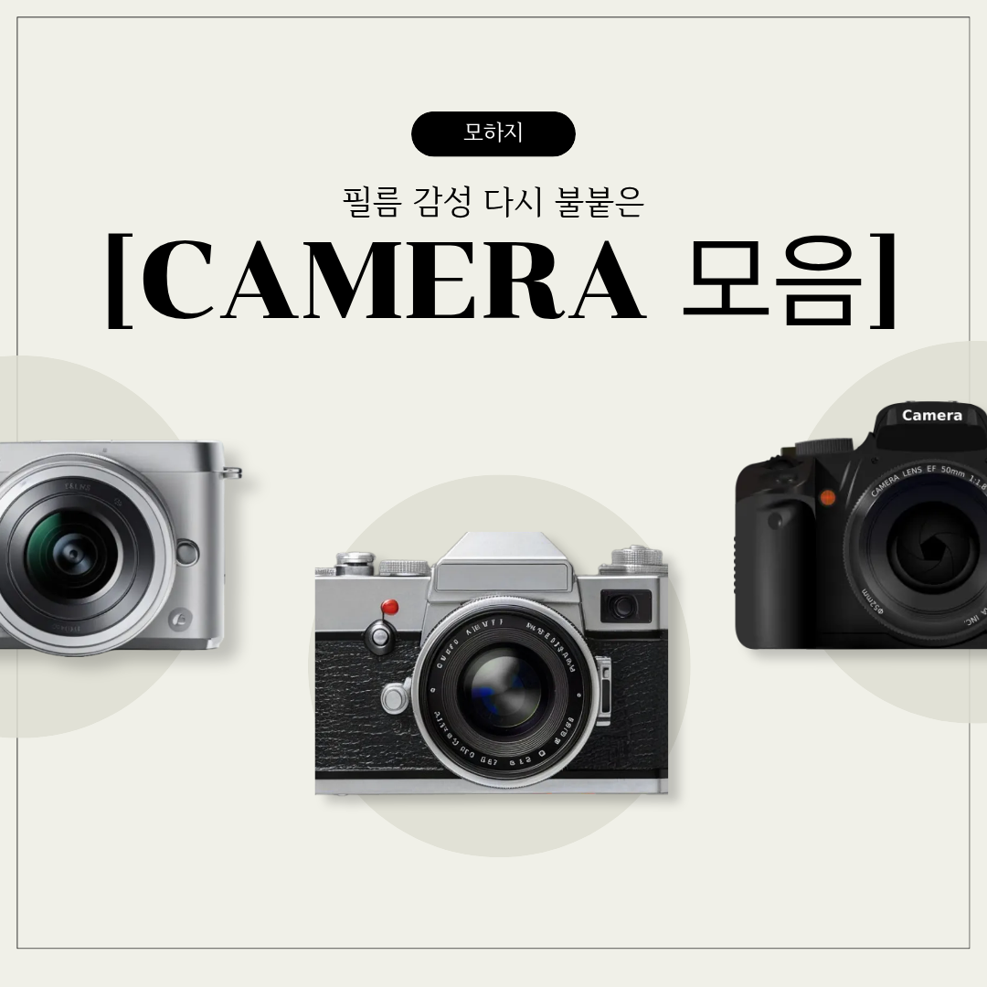필름 감성 다시 불붙은 카메라 모음