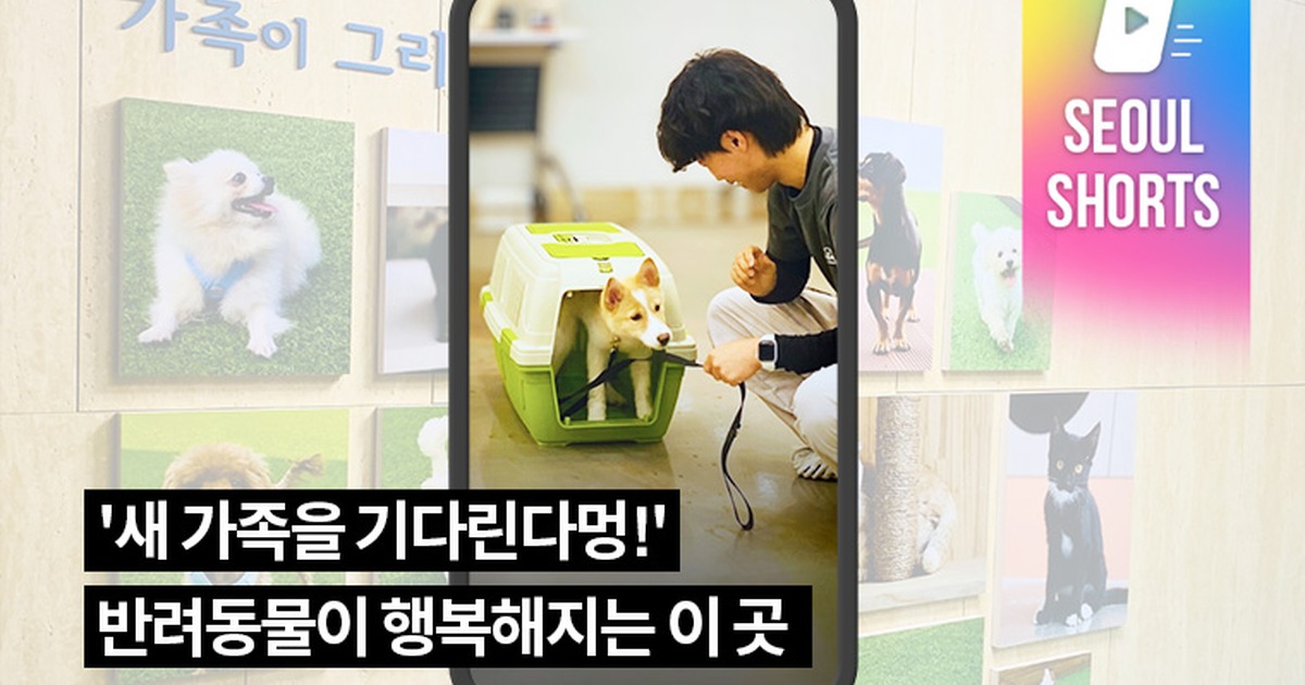 서울동물복지지원센터 반려동물 입양