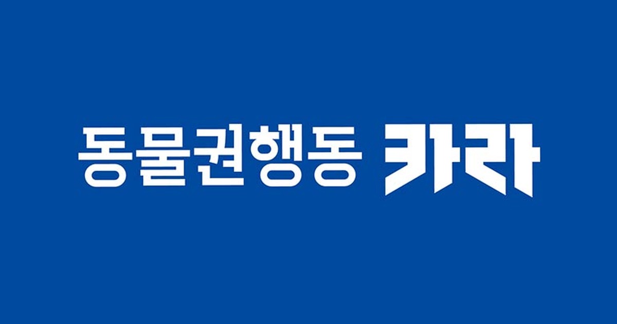 동물권행동 카라 입양·후원