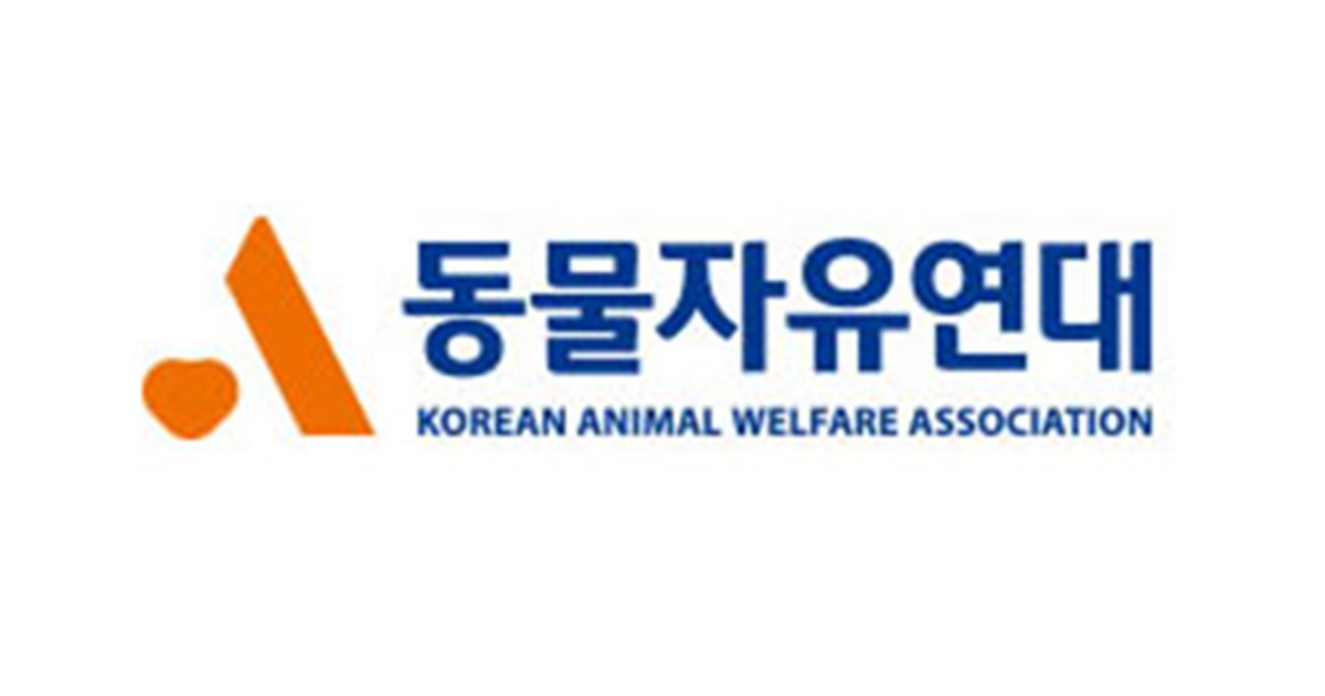 동물자유연대 입양·봉사