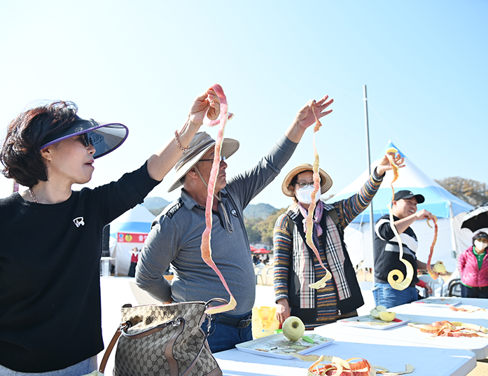 2026 Cheongsong Apple Festival Apple Olympics