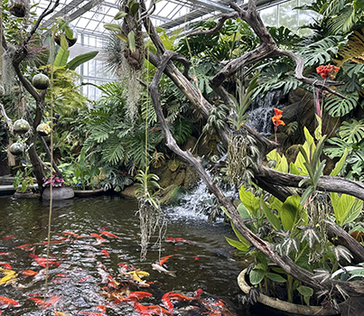 Aquatic Plant House, Hampyeong Korea Chrysanthemum Grand Festival