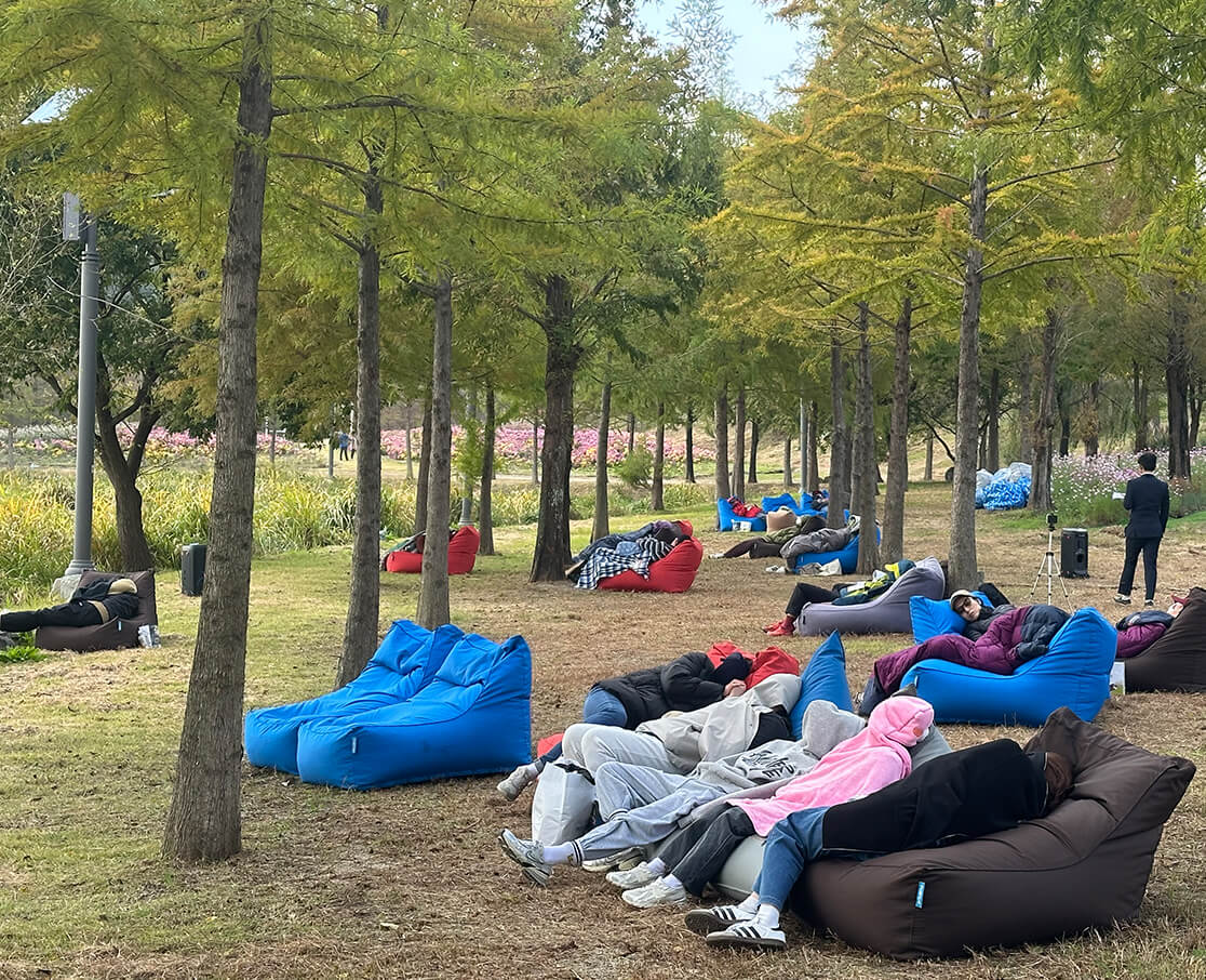 Ecological Wetland Park Rest Area, Hampyeong Korea Chrysanthemum Grand Festival