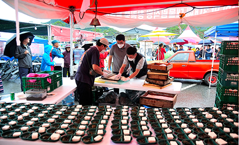 Traditional Tofu Demonstration and Tasting, Sunchang Sauce Festival