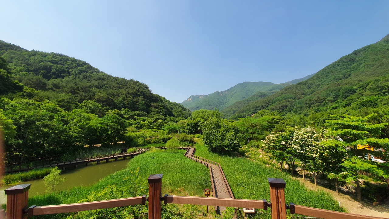 Mungyeong Ecological Maze Park