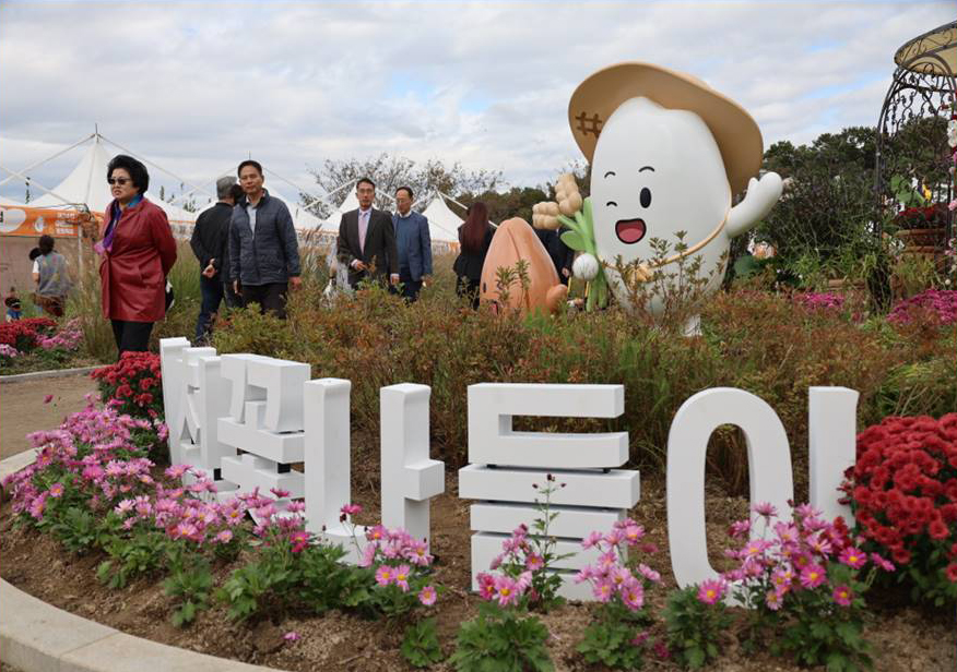 Icheon Flower Outing, Icheon Rice Culture Festival