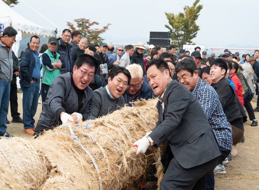 Township Dragon Tug-of-War, Icheon Rice Culture Festival