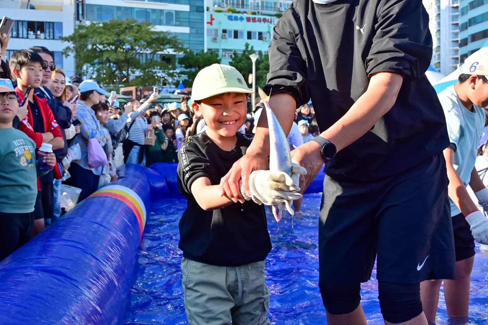 Bare-Hand Mackerel Catching, Busan Mackerel Festival