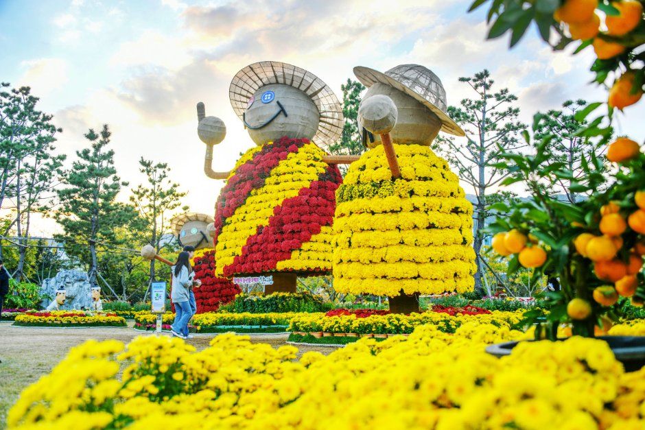 Seaside Chrysanthemum Art Walk, Masan Gagopa Chrysanthemum Festival