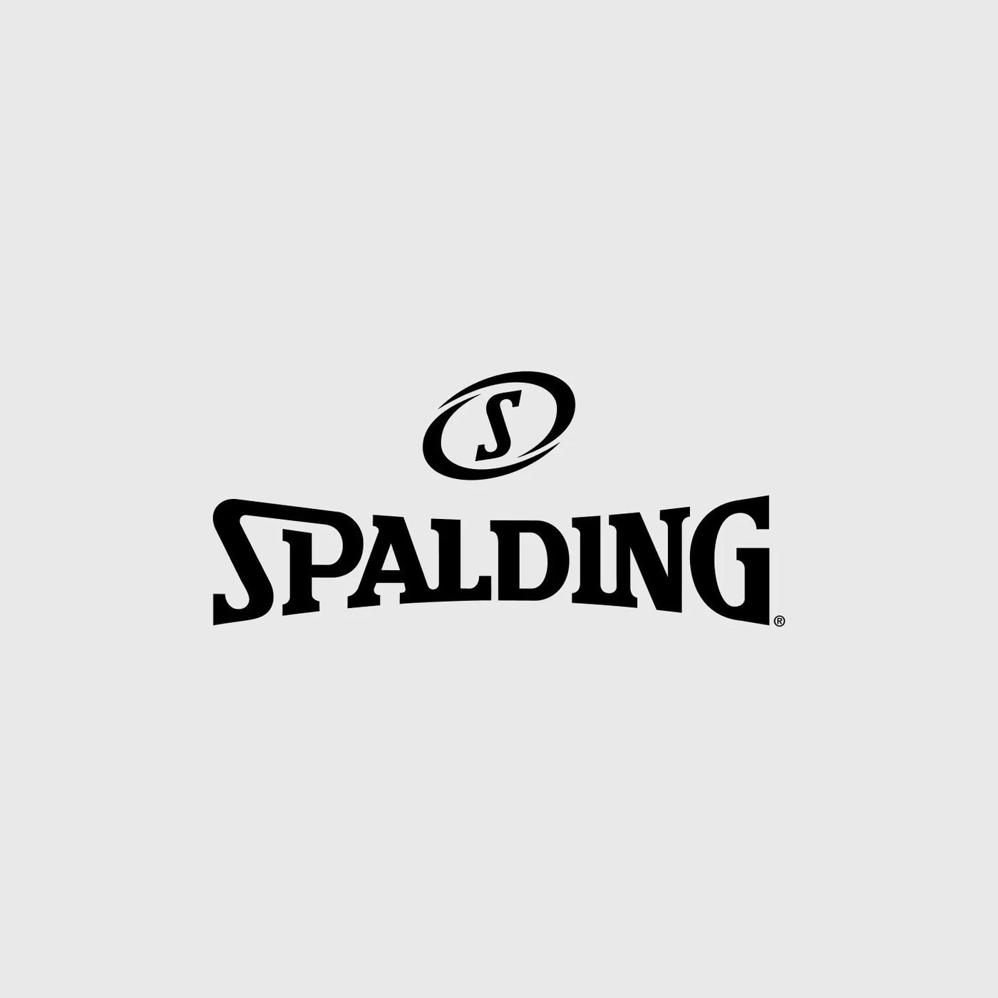Spalding TF Trainer Weighted Indoor Basketball