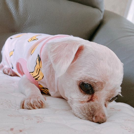만일 내가 인생을 다시 산다면