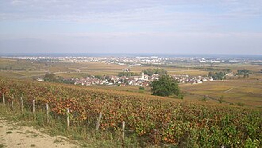 샤토 드 포마르