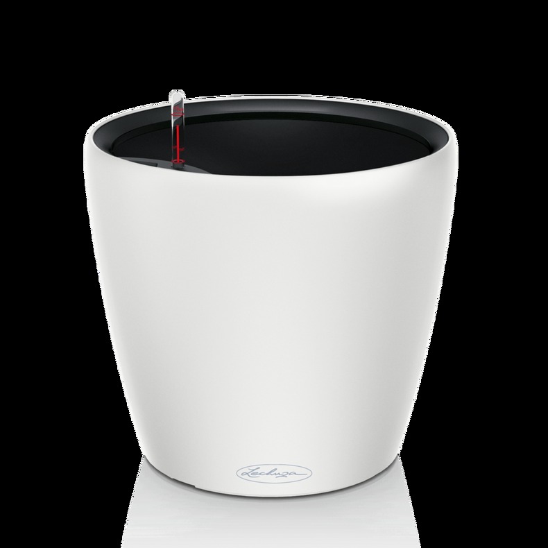 LECHUZA CLASSICO Color LS 21