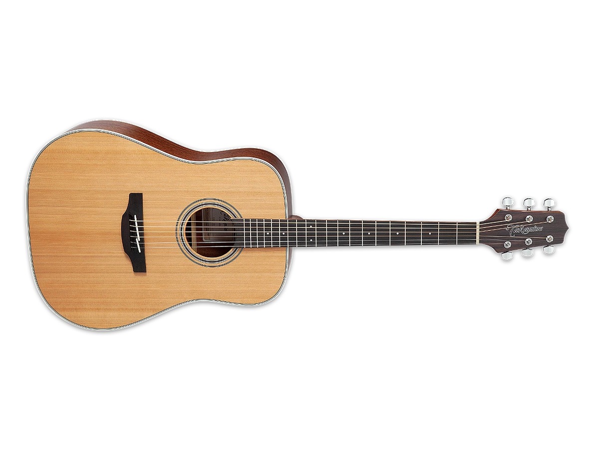 Takamine GD20