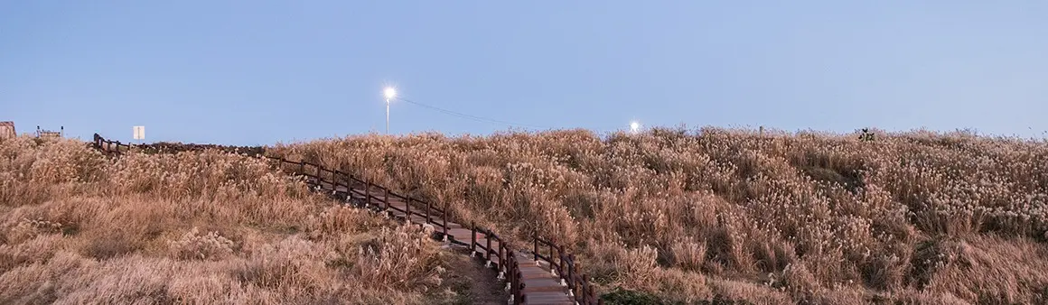 Dakmeori Coastal Trail