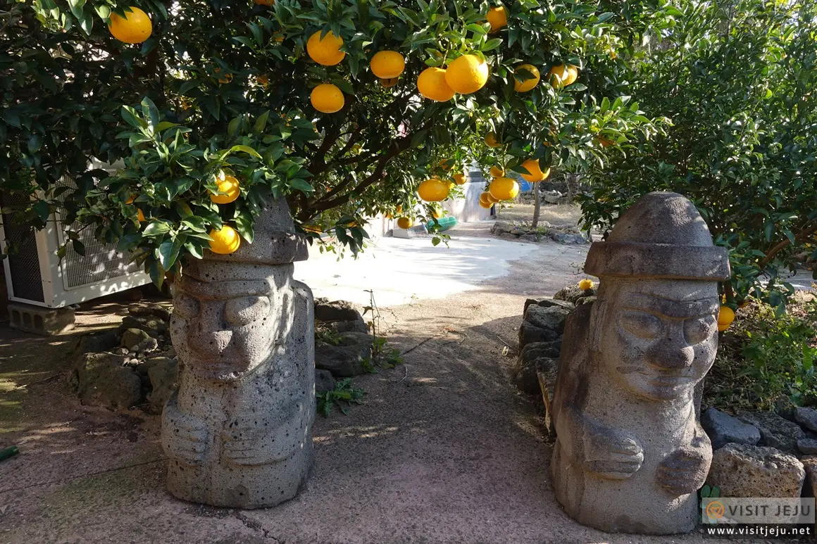 Southernmost Experience Tangerine Farm (Gamoemul)