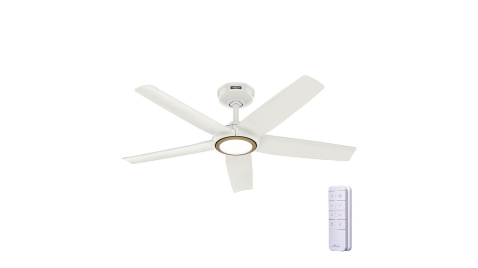 Hunter ZenTech Smart Fan 44 inch