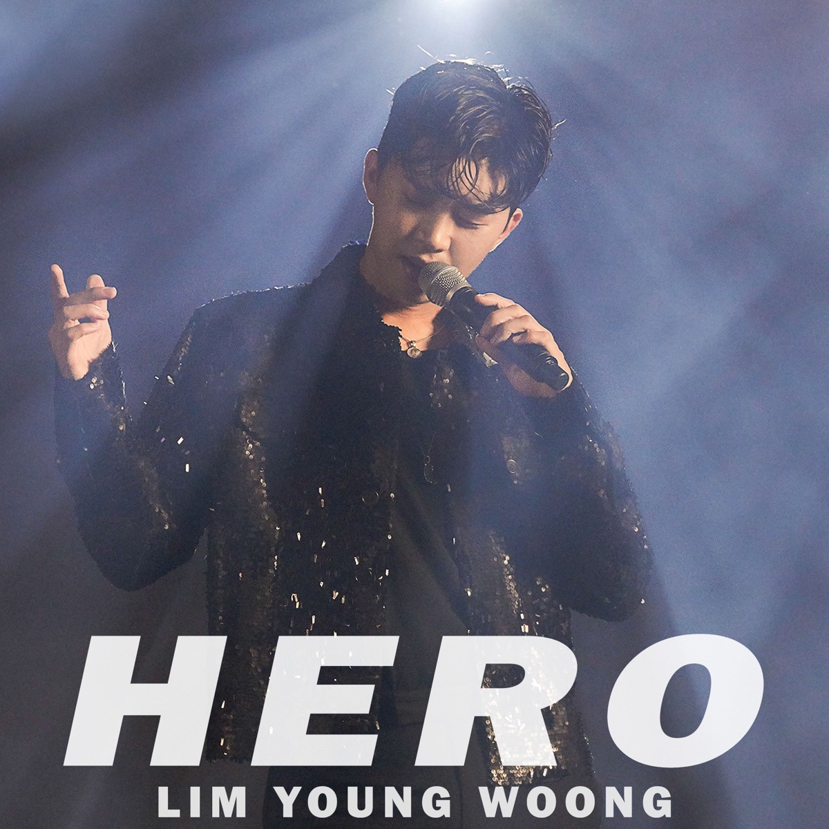 임영웅 - HERO