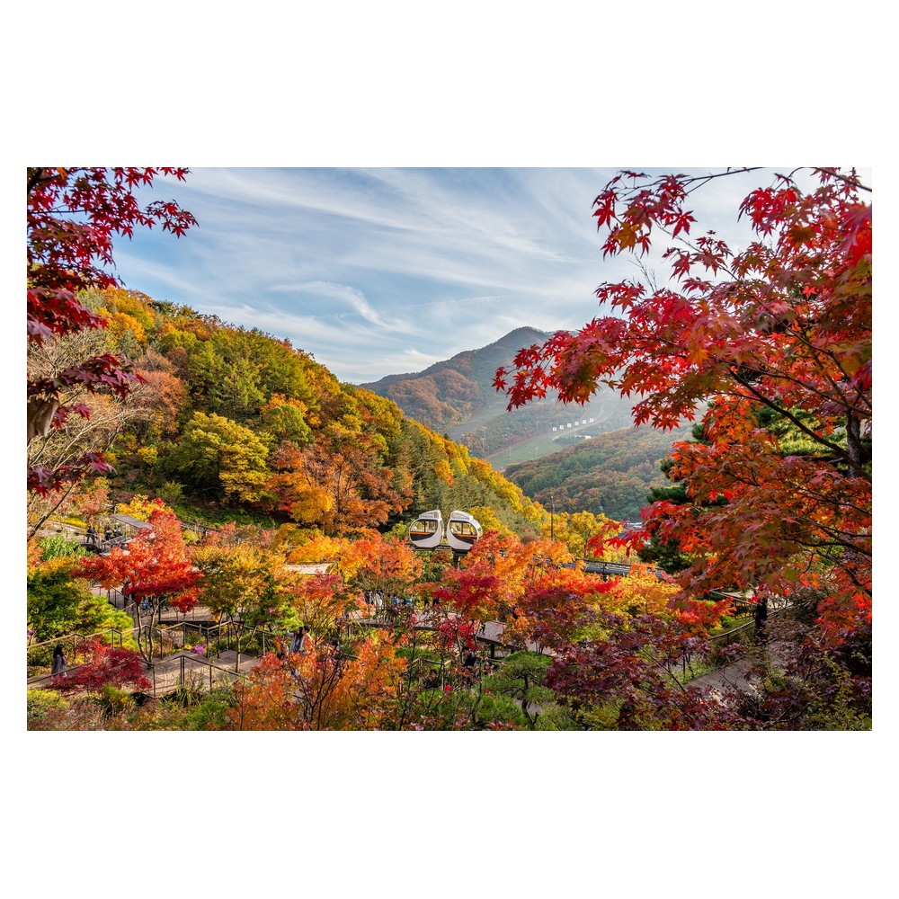 화담숲