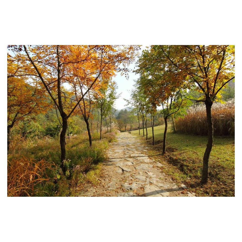 국립한국자생식물원