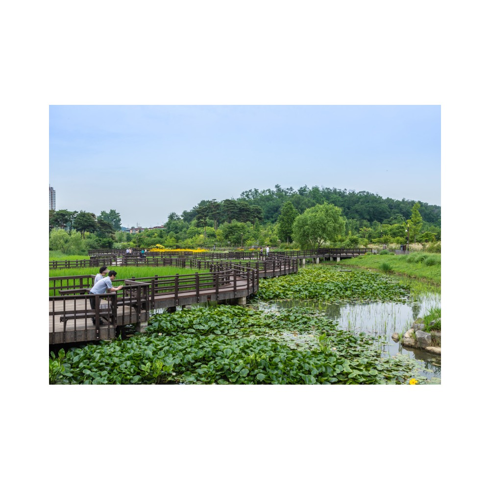 푸른수목원
