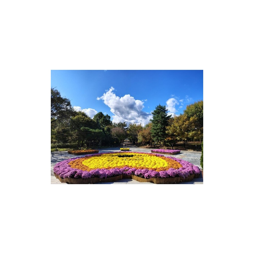 강원도립화목원