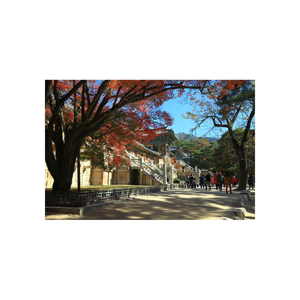 불국사