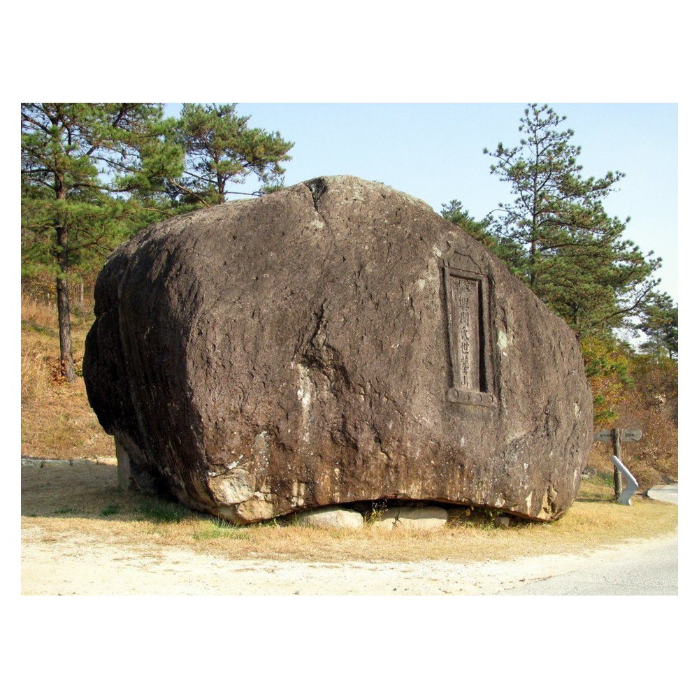 화순 대신리 고인돌군