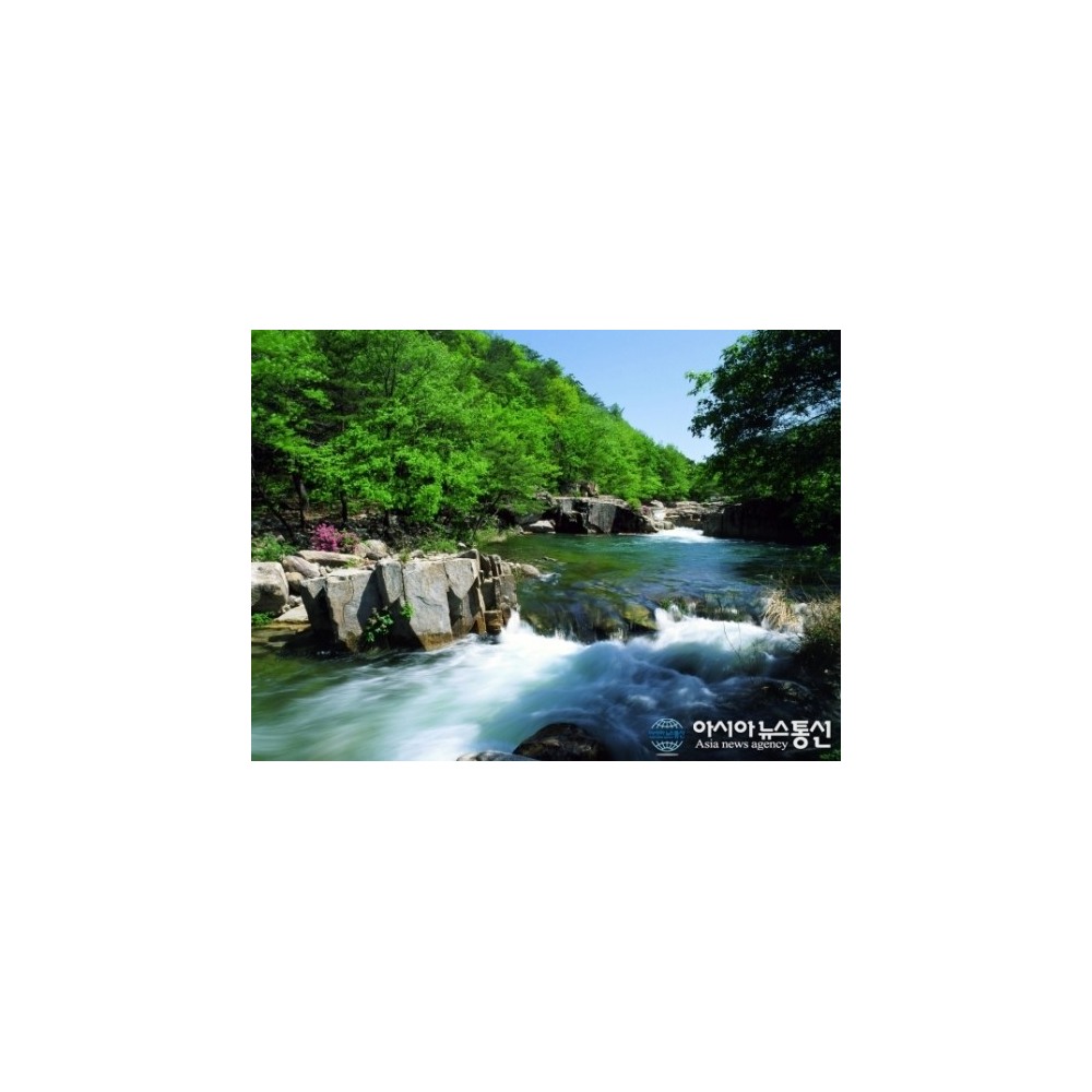 하늘재