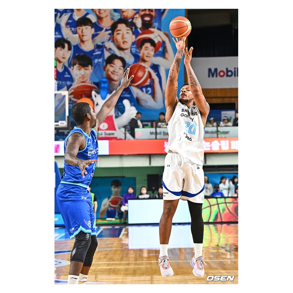 디나이 수비