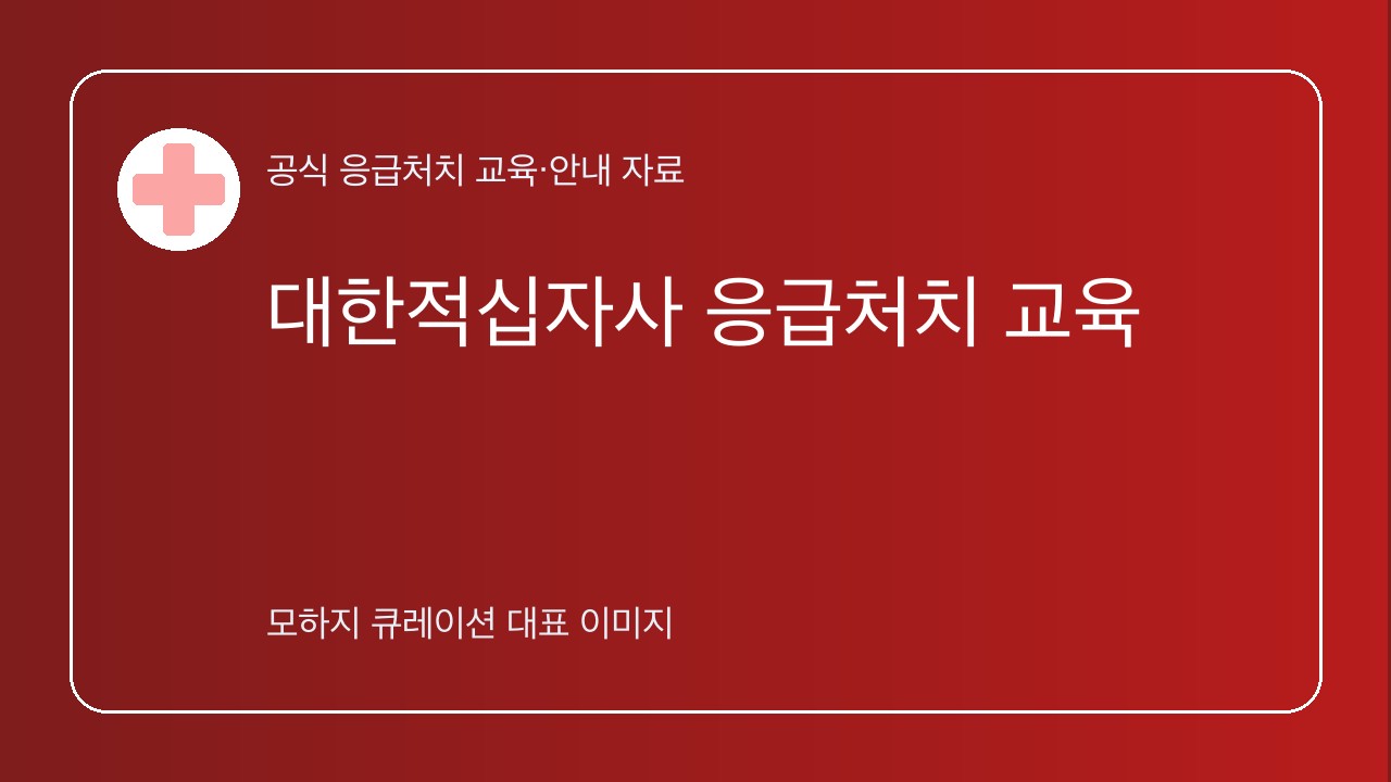대한적십자사 응급처치 교육