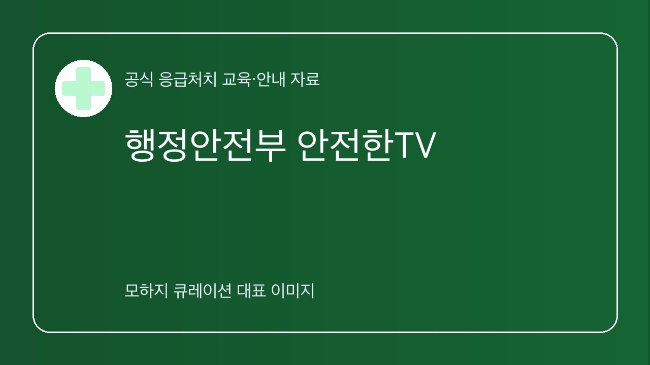 행정안전부 안전한TV