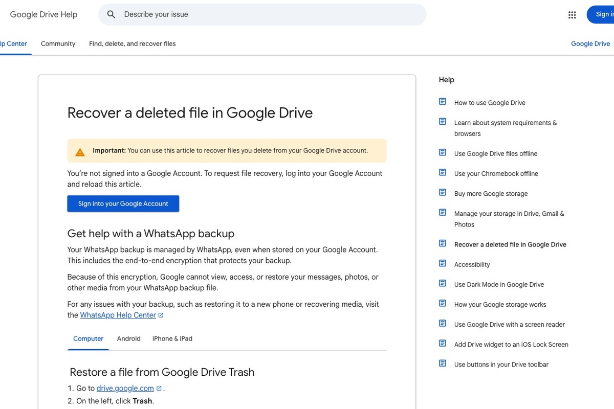 Google Drive 파일 복구