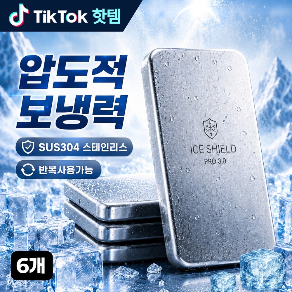 MEIRELLA 압도적보냉 스텐 아이스팩 대형, 6개
