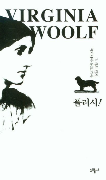 플러시
