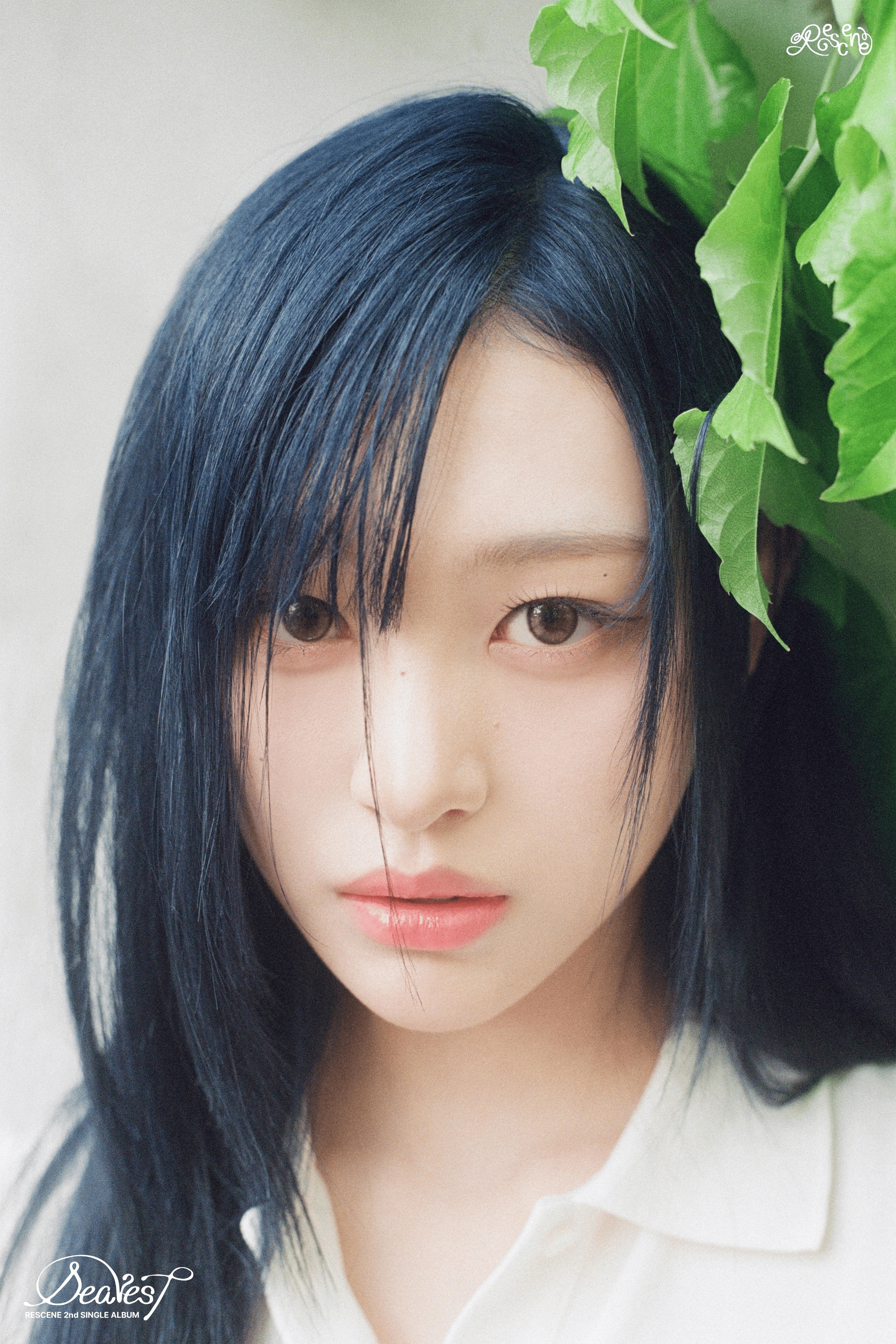 RESCENE 미나미