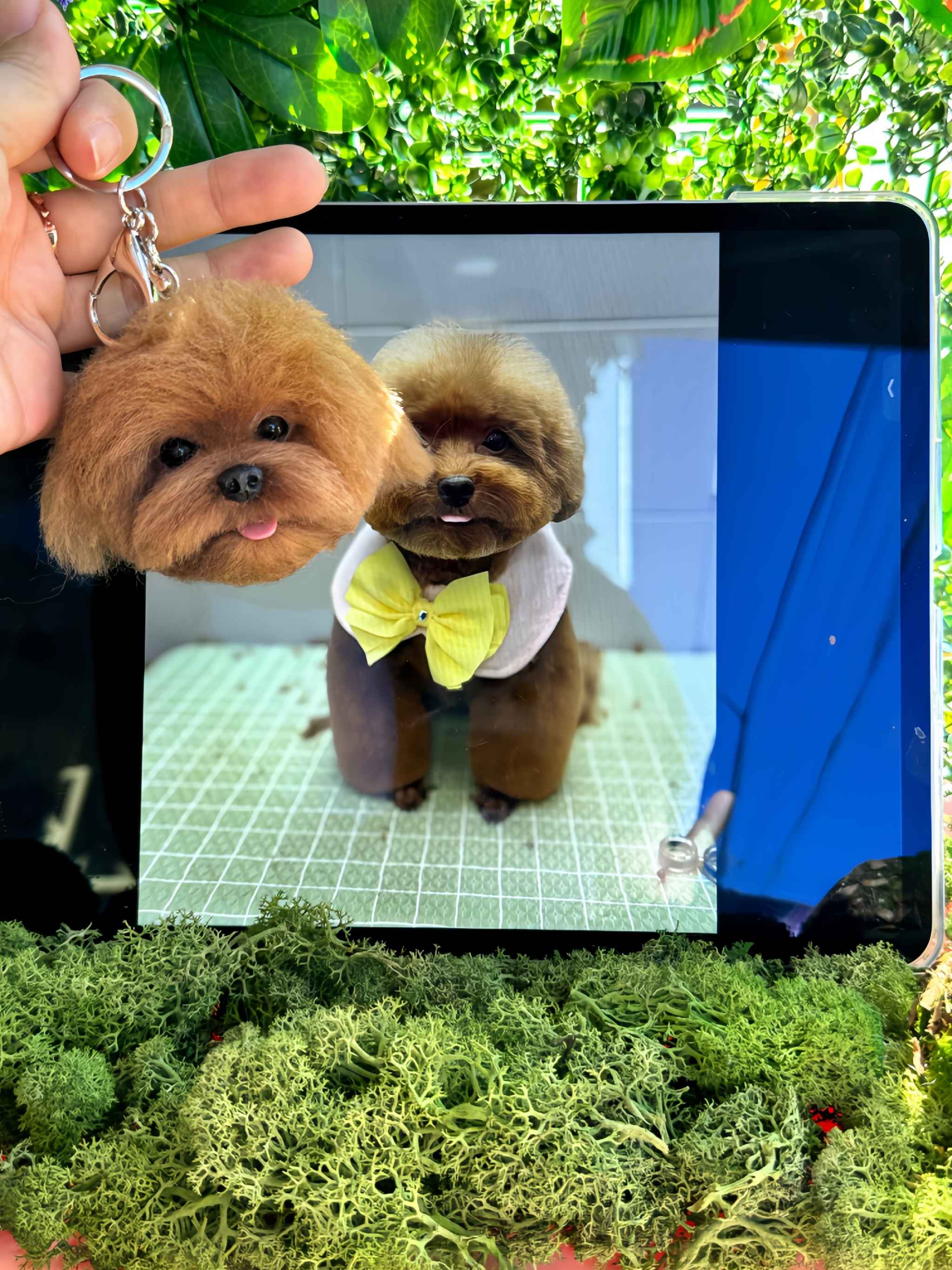 テルー工房 羊毛フェルトの愛犬キーリング作り