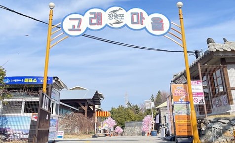 Jangsaengpo Whale Culture Village