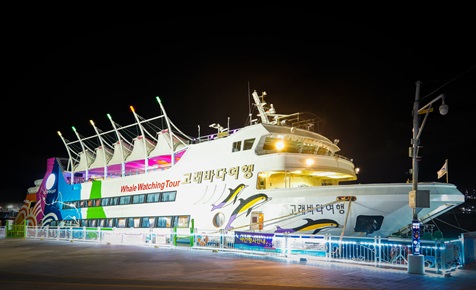 Whale Sea Tour Ship